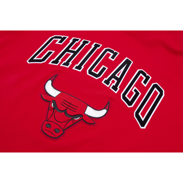 Pro Standard BULLS CLASSIC BRISTLE SJ TEE - Men's - Red - Image 6