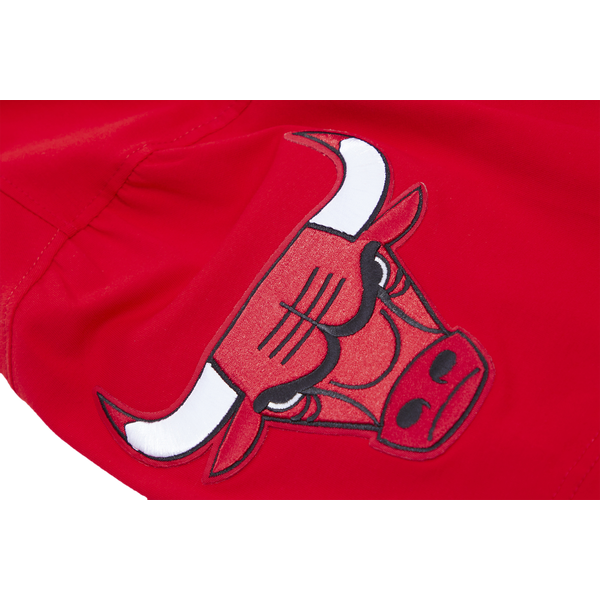 Pro Standard BULLS CLASSIC BRISTLE SJ TEE - Men's - Red - Image 7