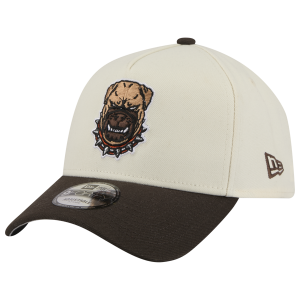 New Era NFL 9FORTY A-Frame Cap - Adult - Chrome/Brown