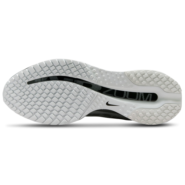 Nike Pegasus Premium RR - Men's - Metallic Silver/Photon Dust/Black - Image 5